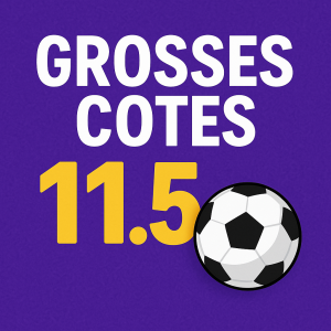 Pronostics Grosses Cotes